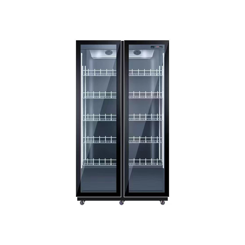 Double Door Air Cooling Refrig - огляд і ціна Wine Beer Dual Zone