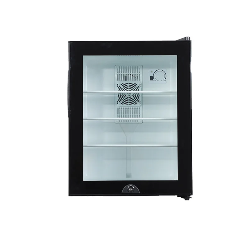 Mini Fridge Cooler 40L Refrige - огляд і ціна Wine Beer Fridge Small